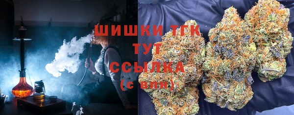 прущие грибы Алексеевка
