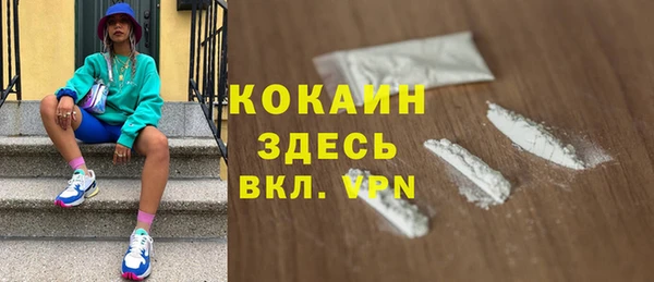 ГАЛЛЮЦИНОГЕННЫЕ ГРИБЫ Абаза