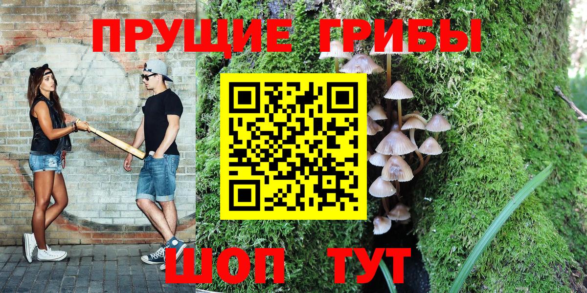 Галлюциногенные грибы GOLDEN TEACHER  Вход с VPN  Топки 