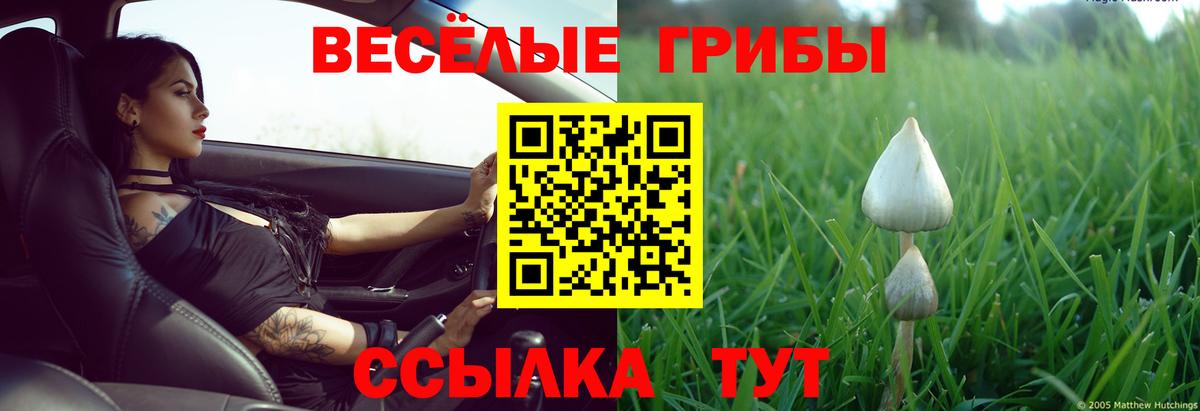 Галлюциногенные грибы MAGIC MUSHROOMS Топки